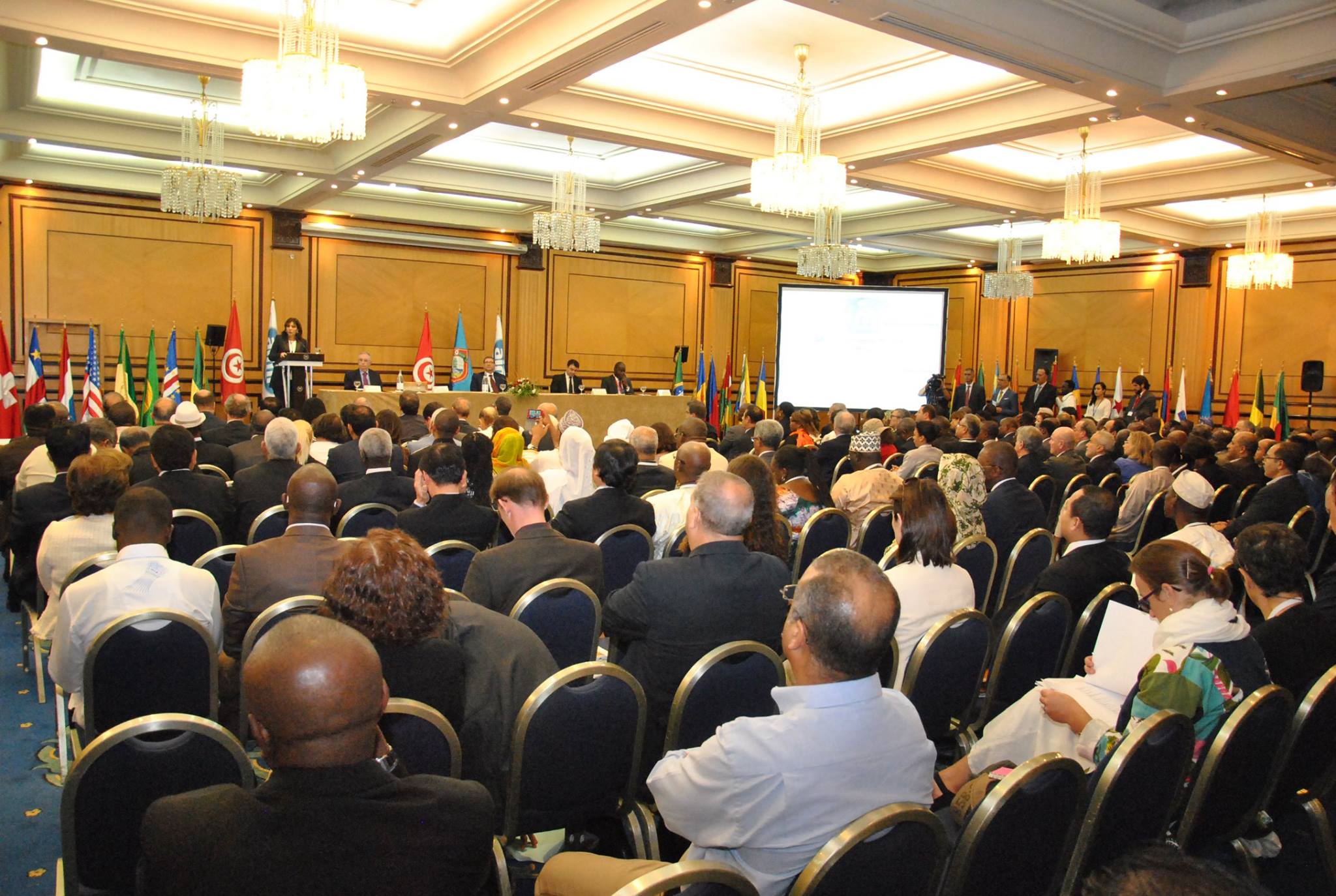 aimf_2015_2