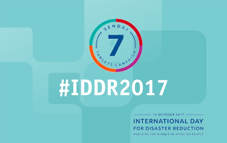 international_day_drr_0