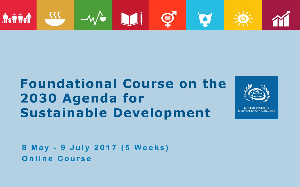 online_webinar_sdg_localization