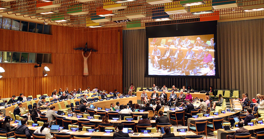 photo_by_iisd-enb_link_httpwww.iisd_.cahlpf2015images26jun1plenary_img_3714