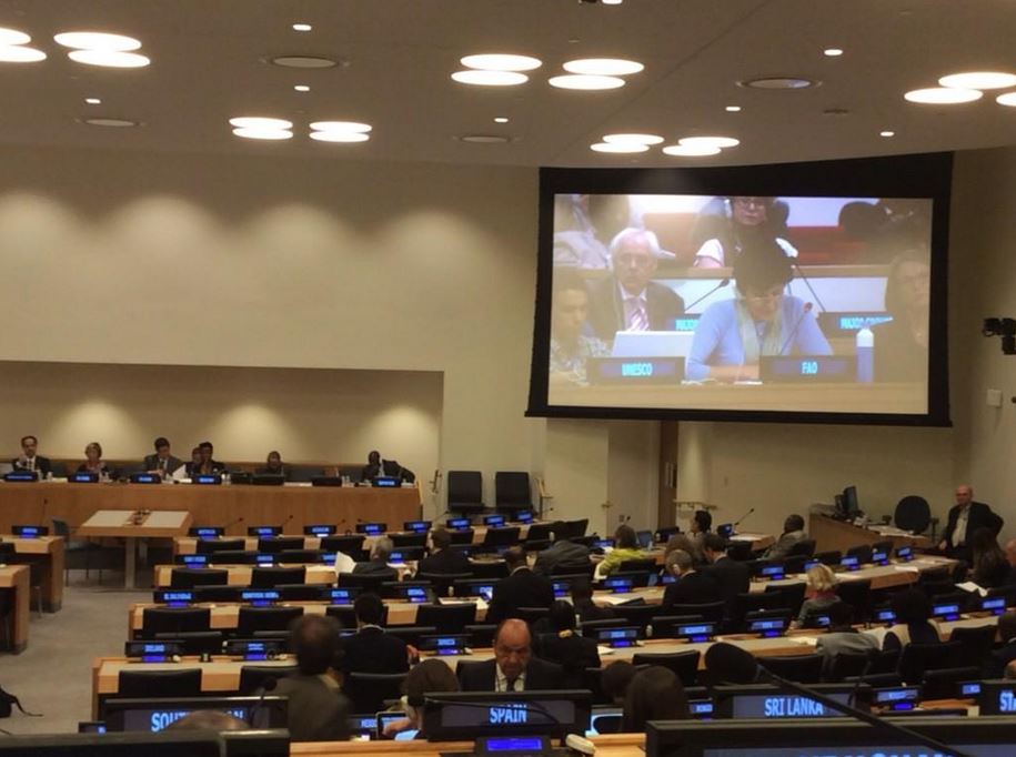prepcom_1