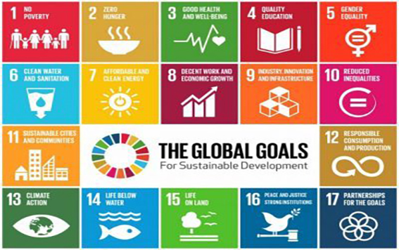 sdgs_6