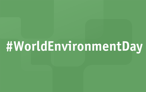 worlday_0